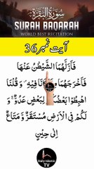 Al-Quran - Surah 2 - Al-Baqara - Ayah 36 | daily islamic tv