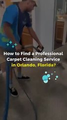 Professional Carpet Cleaning Services