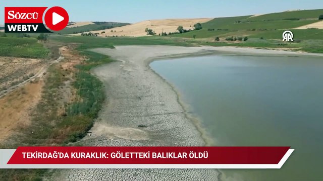 Tekirdağ'da kuraklık: Göletteki balıklar öldü
