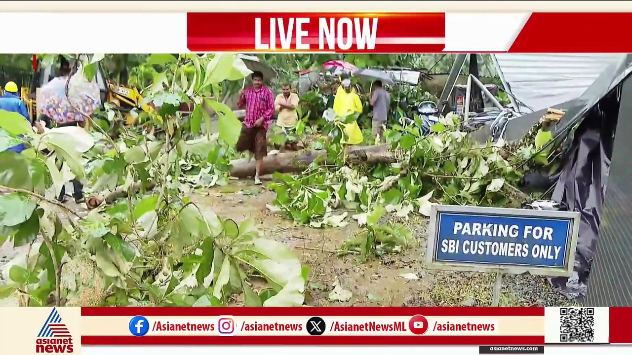 ഇടുക്കിയിൽ ശക്തമായ കാറ്റും മഴയും; മരക്കൊമ്പ് ഒടിഞ്ഞ് വീണ് തൊഴിലാളിയ്ക്ക് ദാരുണാന്ത്യം