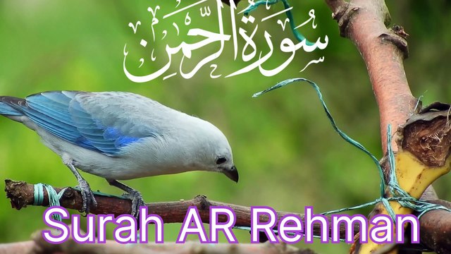👏🔥Surah of Divine Mercy & Blessings The Surah of Ar-Rahman The Most 👏🔥