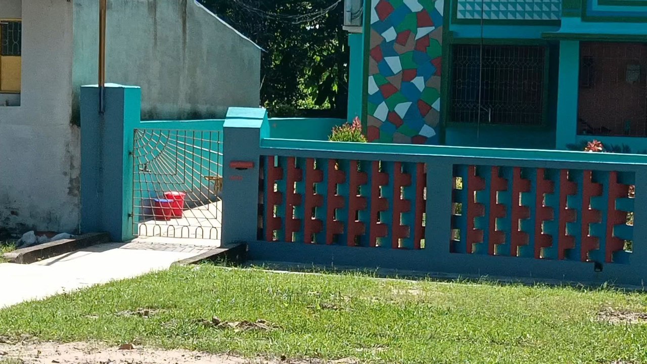 Green Colour House