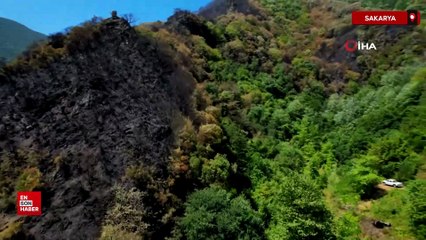Yangın sonrası acı tablo: Sakarya'da yeşil ile siyah yan yana görüntülendi