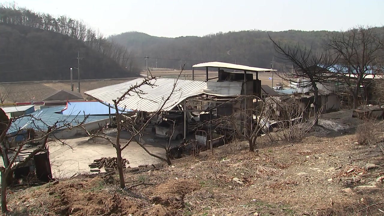 [경북] 경북, 지난 3월 대형 산불 피해 복구 조직 신설 / YTN