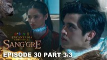 Sang'gre: Ang pagdakip sa mga Sang'gre! (Episode 30 - Part 3/3) | Encantadia Chronicles
