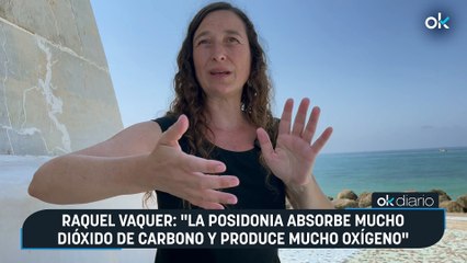 Raquel Vaquer: "La posidonia absorbe mucho dióxido de carbono y produce mucho oxígeno"
