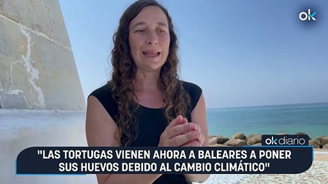 Raquel Vaquer: Las tortugas vienen ahora a Baleares a poner sus huevos debido al cambio climático