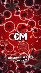 Combien de temps dure une éponge ?