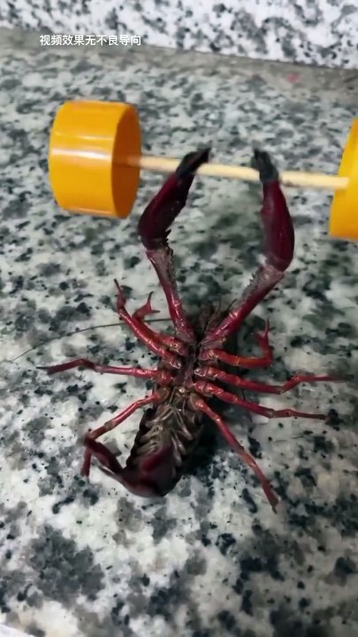 Hard Workout 💪💪💪 || Funny video