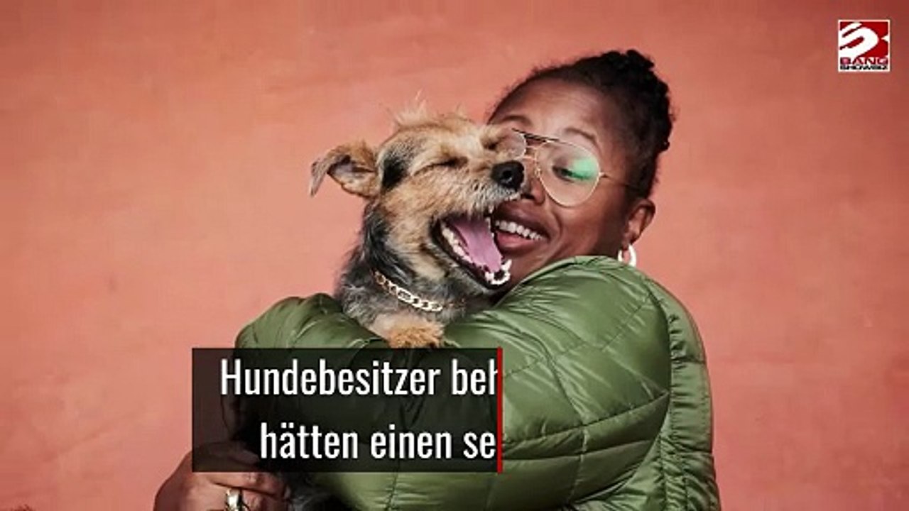 Hundebesitzer behaupten, Tiere hätten einen sechsten Sinn