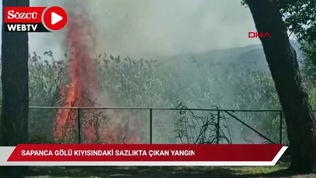 Sapanca Gölü kıyısındaki sazlıkta çıkan yangın söndürüldü
