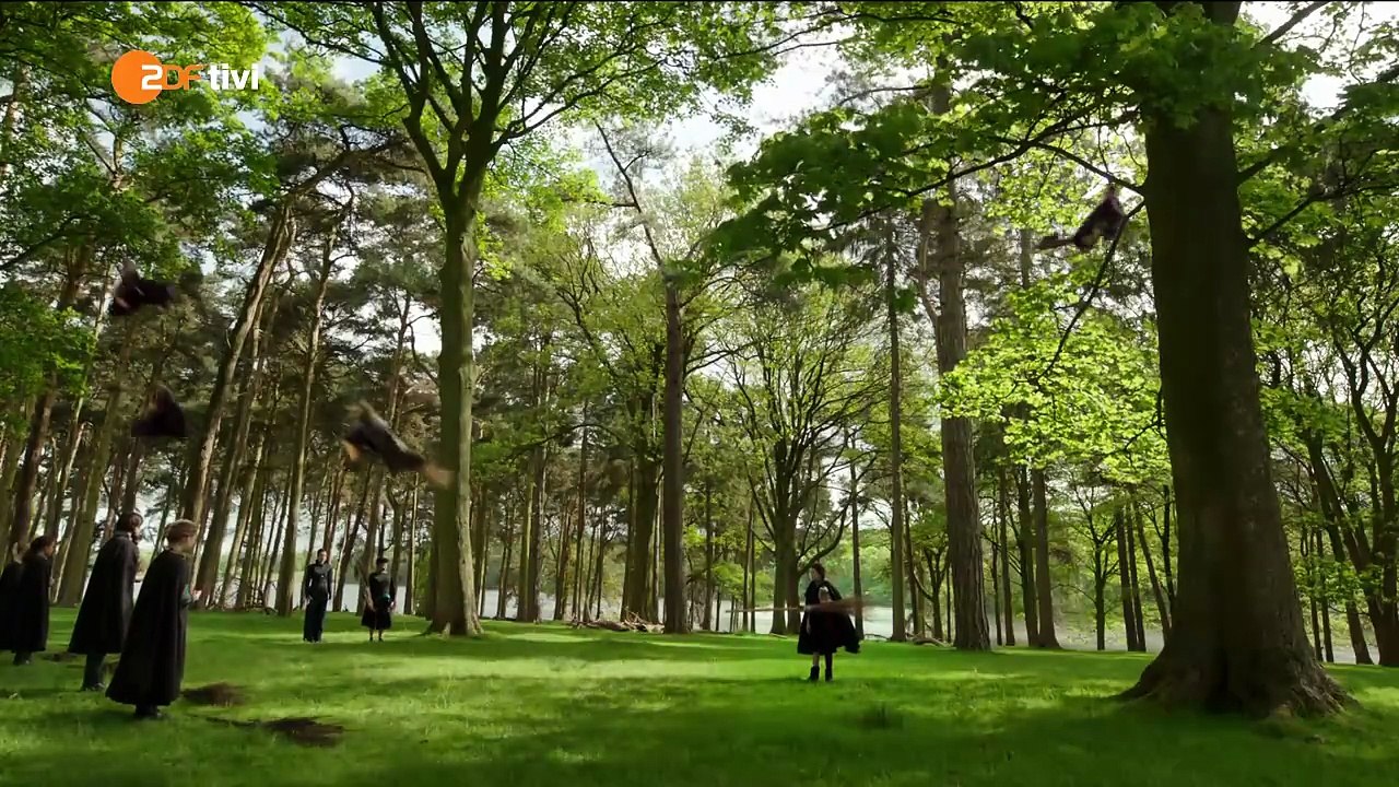 03 Eine lausige Hexe-Besenflug mit Katze