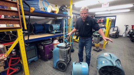 How to Dry and Dehumidify a Basement | Moisture Control Made Easy