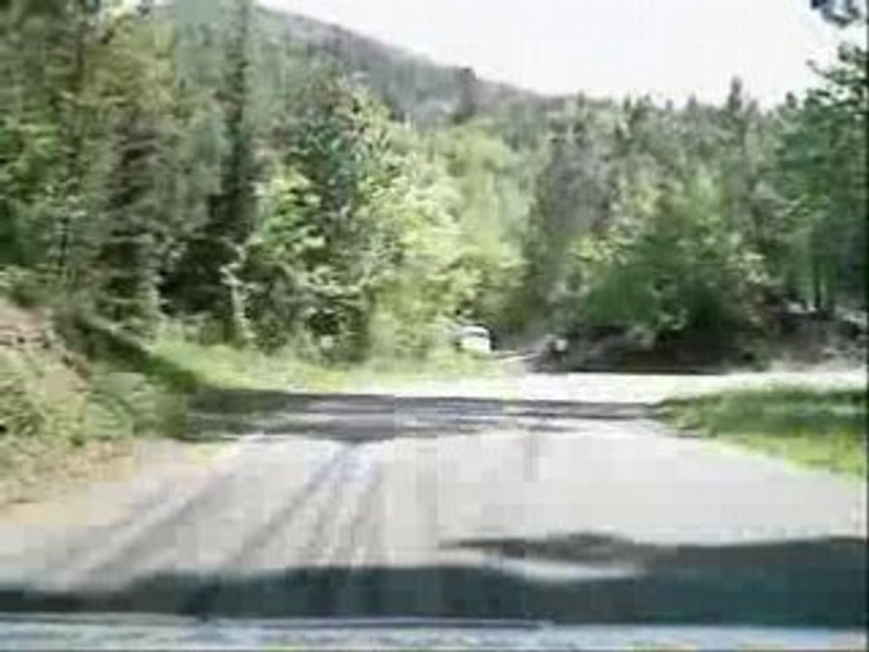 Gard 2088 es8 205 f2000.12 hernandez canino n°71