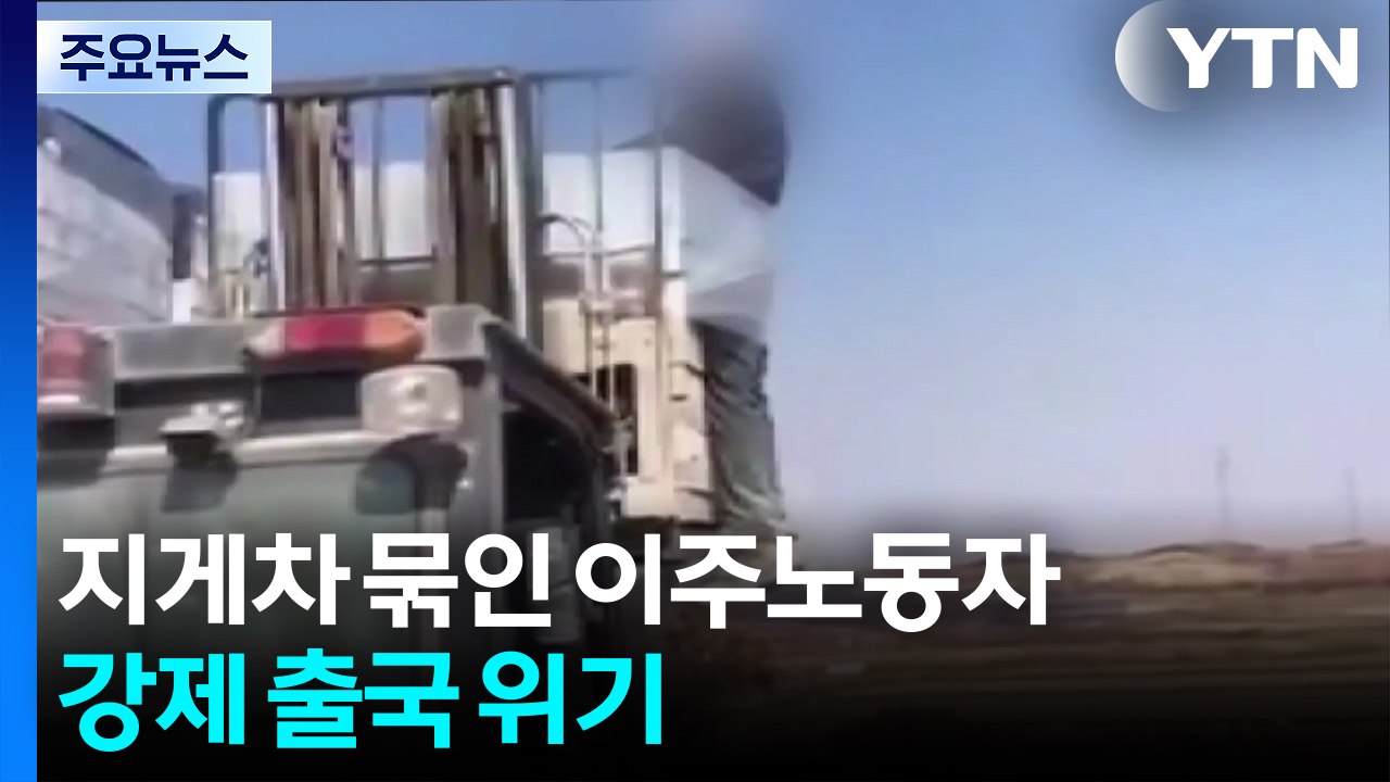 "일하고 싶어요"...지게차에 묶인 이주노동자 강제 출국 위기 / YTN