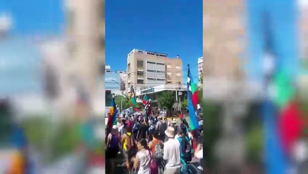 Integrantes de comunidades mapuches, sindicatos y organizaciones sociales de Neuquén se movilizaron en la capital de la provincia