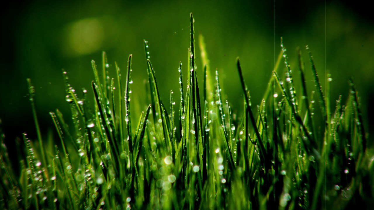 Chronochrome and Kinemacolor