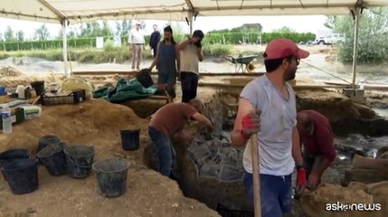 Francia, lo scheletro di un dinosauro gigante apre a nuove scoperte