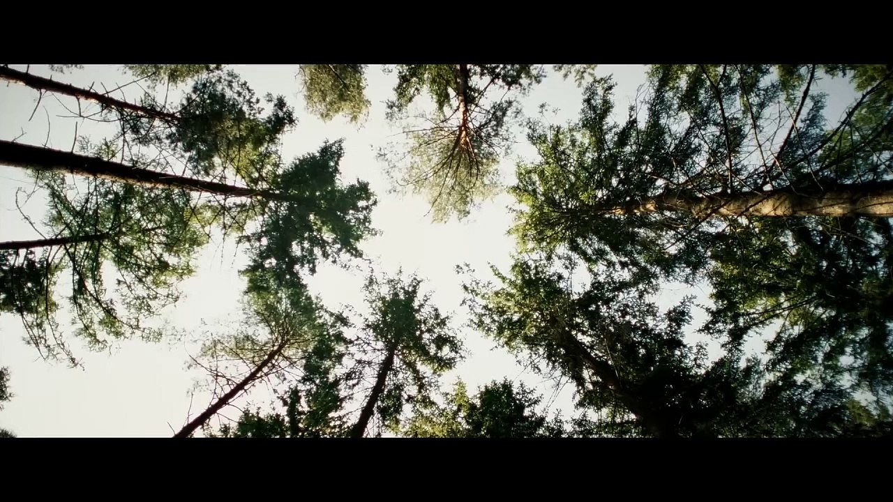 Welcome Home Baby - Teaser Trailer (Deutsch) HD