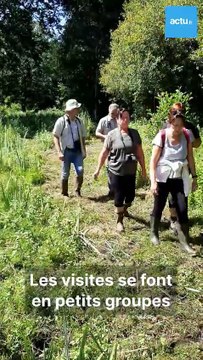 Découverte du Sentier de l'Osmonde dans le marais Vernier avec la fédération de chasse 27