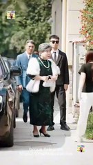 From Cleaner To Ceo S Beloved Japanese Full Hd S Shorts S