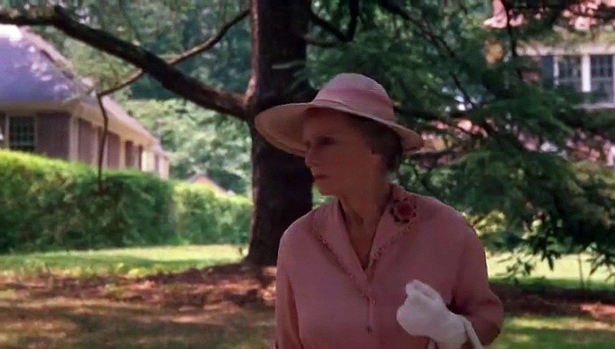 Miss Daisy und ihr Chauffeur (1989)