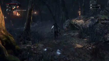 Hitless Any% Speedrun in 41:03 (Bloodborne)