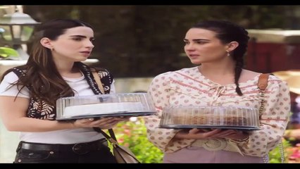 Monteverde  Capitulo 31 Monteverde  Capitulo 31