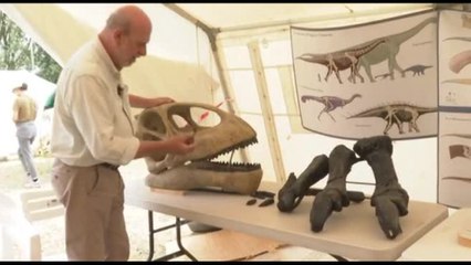 Francia, lo scheletro di un dinosauro gigante apre a nuove scoperte