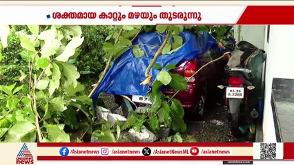 ശക്തമായ മഴയിൽ സംസ്ഥാനത്ത് വ്യാപക നാശനഷ്ടം; ഇടുക്കിയിൽ തൊഴിലാളിയ്ക്ക് ദാരുണാന്ത്യം