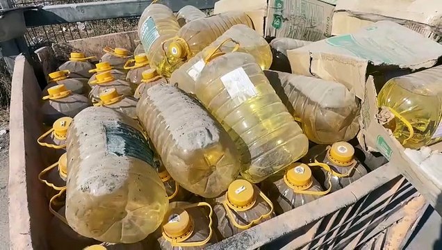 La ayuda alimentaria para Gaza se descompone bajo el sol mientras la población muere de hambre