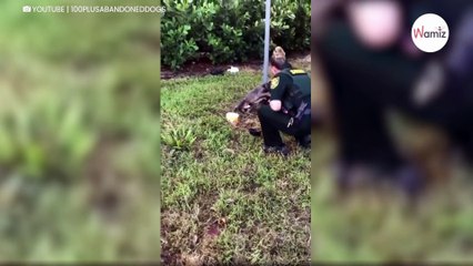 Hund an Pfahl angebunden: Seine Reaktion trifft die Polizistin mitten ins Herz (Video)