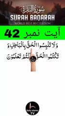 Al-Quran - Surah 2 - Al-Baqara - Ayah 42 | daily islamic tv