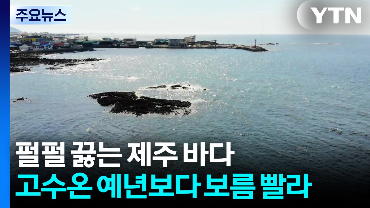 펄펄 끓는 제주 바다...고수온 특보 예년보다 보름 빨라 / YTN