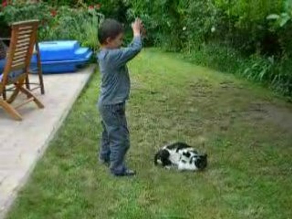 quel con ce chat!
