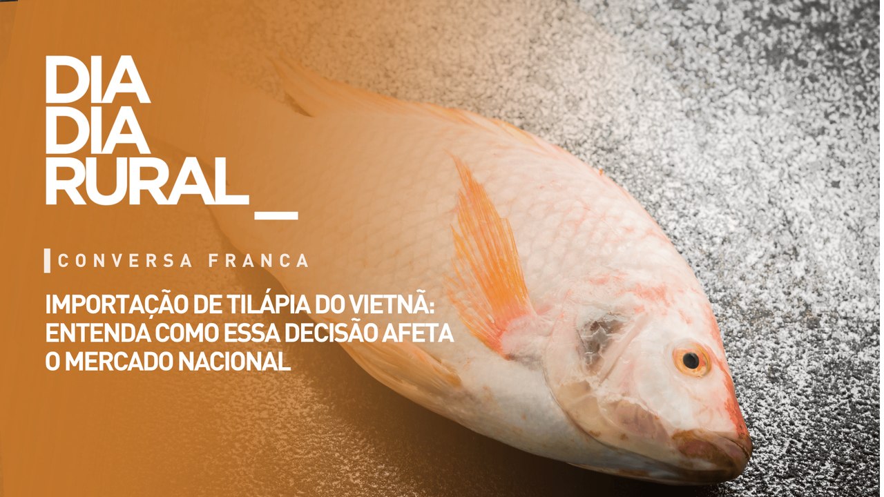 Importação de tilápia do Vietnã: entenda como essa decisão afeta o mercado nacional