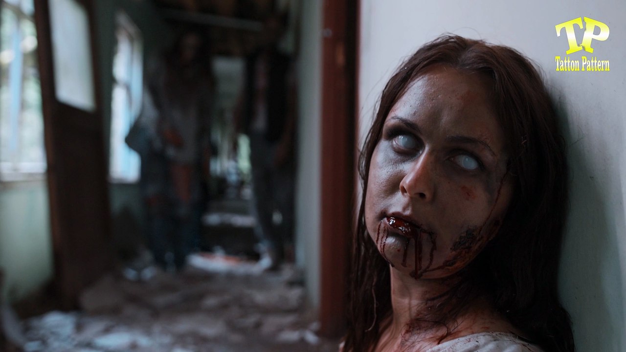 Cats and Paranormal Activity #cats #haunted #Ghost