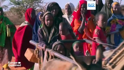 Növekszik az éhezők száma a világon, mutat rá az ENSZ jelentése