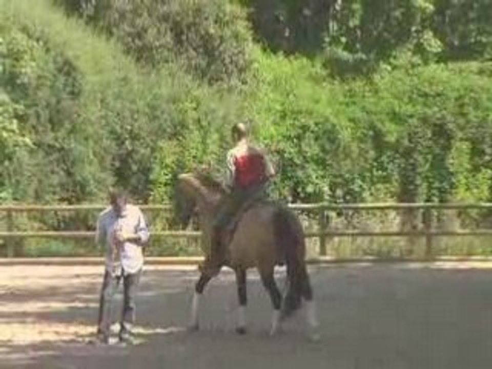 Partitions équestres-Partitions équestres