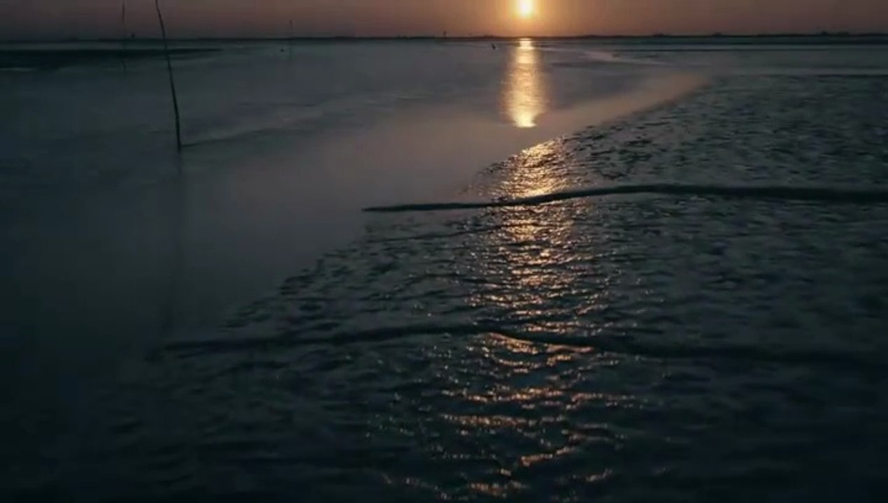 Die Toten am Meer - Der Wikinger