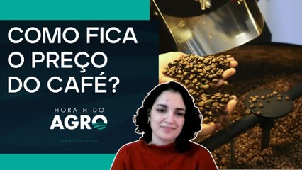 Café reage às tarifas impostas por Trump e tem queda | HORA H DO AGRO