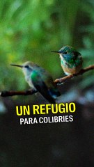 Santuario de Colibríes