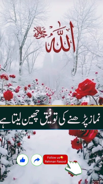 قرآن پاک کا ایک حرف پڑھنے پر دس نیکیاں لکھی جاتی ہیں ۔ قرآن مجید کو ترجمہ اور تفسیر کے ساتھ پڑھنے کی کوشش کیا کریں کیونکہ یہ قرآن دین اسلام کی بنیاد ہے ، بنیاد کی مضبوطی پورے دین اسلام کی سربلندی ہے ، قرآن مجید کی تلاوت سے  اجر و ثواب کے ساتھ ساتھ دینی شع