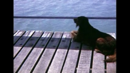 Compulsive Viewing: The Films Of Guy Bourdin | movie | 2003 | Official Clip