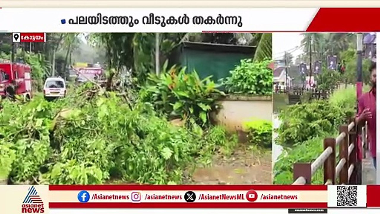 മരങ്ങൾ കടപുഴകി വീണു, വീടുകൾ തകർന്നു ; കോട്ടയത്ത് മഴയിൽ കനത്ത നാശനഷ്ടം