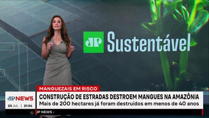Construção de estradas destroem mangues na Amazônia | JP Sustentável