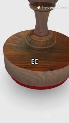 Bihar Voter Roll Drama: EC's Shocking Moves!