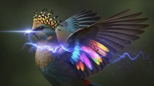 La Ilusión Emplumada: Las Capas Ocultas Detrás de los Colores Brillantes de las Aves
