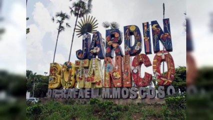 El Jardín Botánico celebrará su 50 aniversario con renovación interna