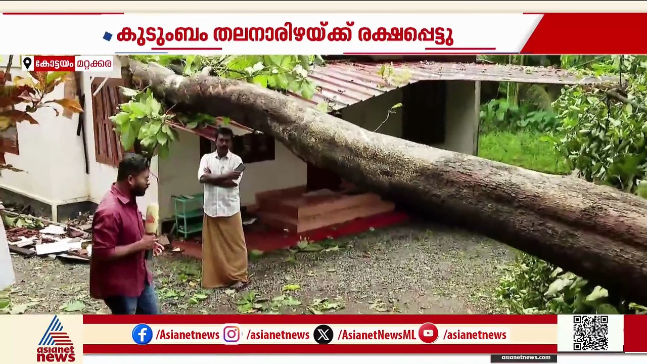 'ഞങ്ങൾ വാതിലും തുറന്ന് ഓടി'; മറ്റക്കരയിൽ വീടിന് മുകളിൽ മരം വീണു